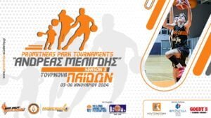 ANDREAS MELIGDIS PPT S3 ID PAIDON PROMO 2 3