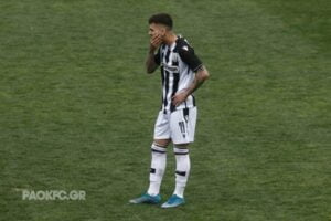 γαιτανιδης 768x513 1