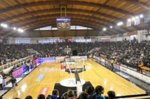 apollon perivola kosmos Κάρλος Σάινθ