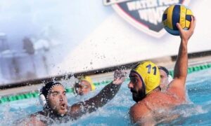 269883723 1390023531434704 5244139905712349463 n