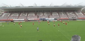 panaxaiki2 e1717243888351