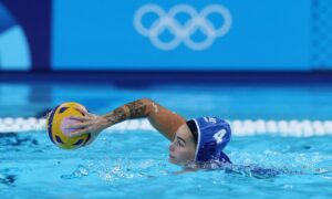 67115838 polo 2024 nikol 1