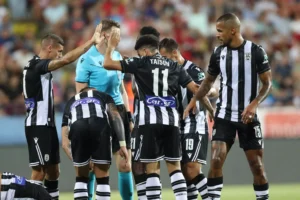 despodov 1 2048x1365 1