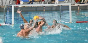 1701536638937 873x432 1 768x380 1