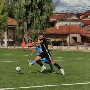 panaigialeios fetini