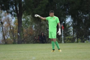 Παναγιώτης Πούλιος