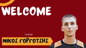 Νίκος Γοργότσης