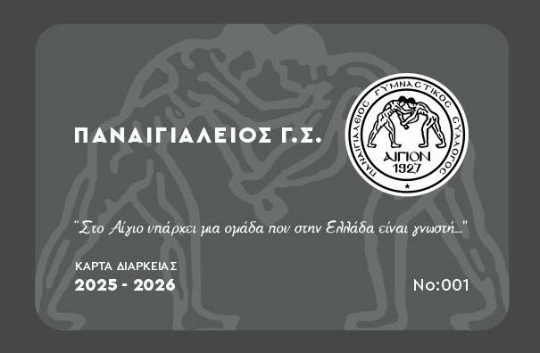 pgsss Παναιγιάλειο